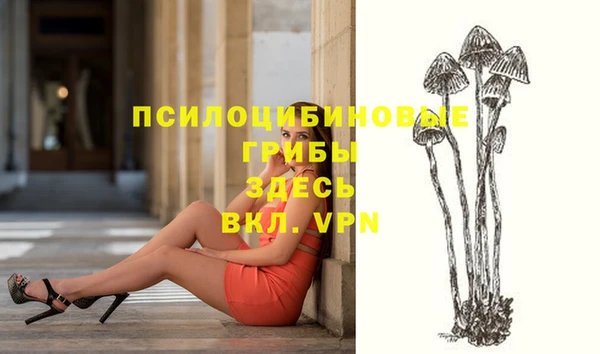 хмурый Баксан