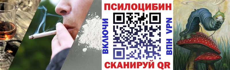 Галлюциногенные грибы Psilocybine cubensis Астрахань